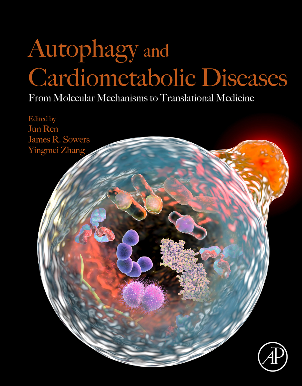 Autophagy and Cardiometabolic Diseases From Molecular Mechanisms to Translational Medicine 