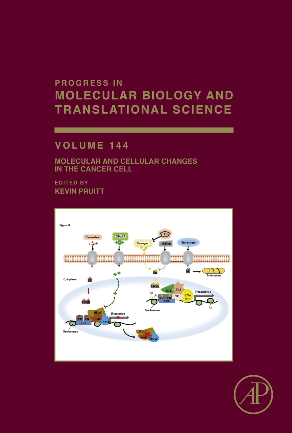 Molecular and Cellular Changes in the Cancer Cell 
