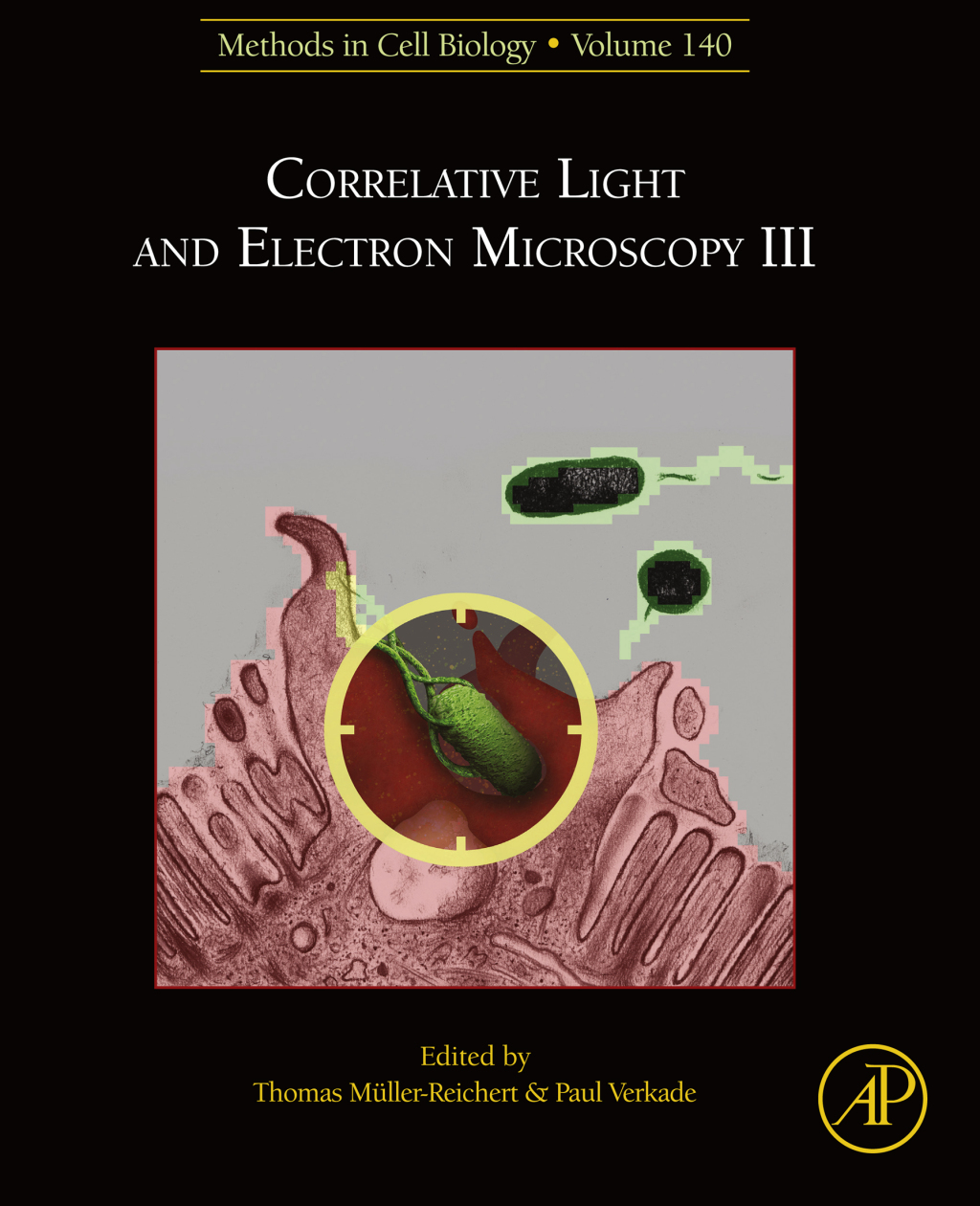 Correlative Light and Electron Microscopy III 