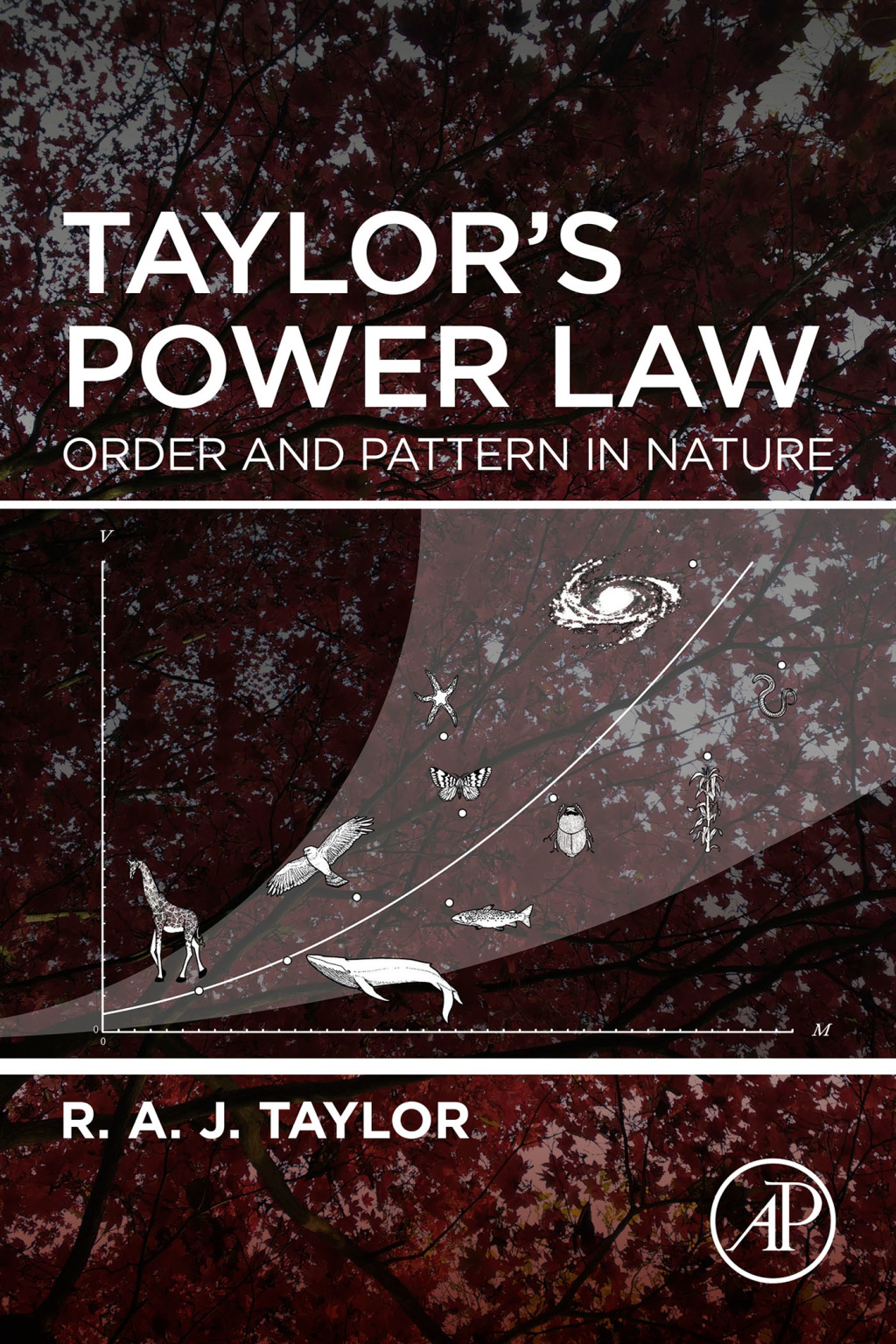 Taylor's Power Law Order and Pattern in Nature 