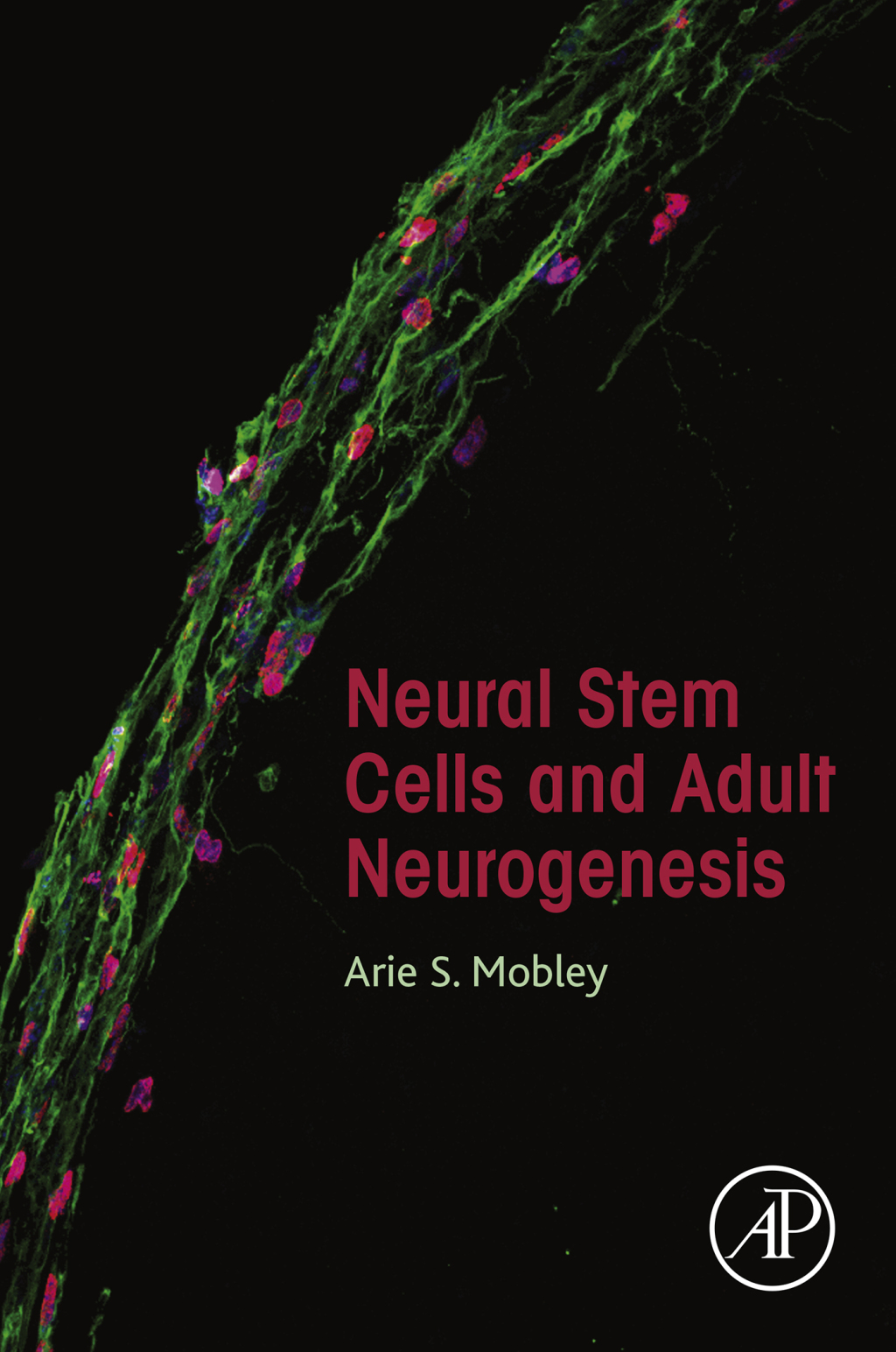 Neural Stem Cells and Adult Neurogenesis 