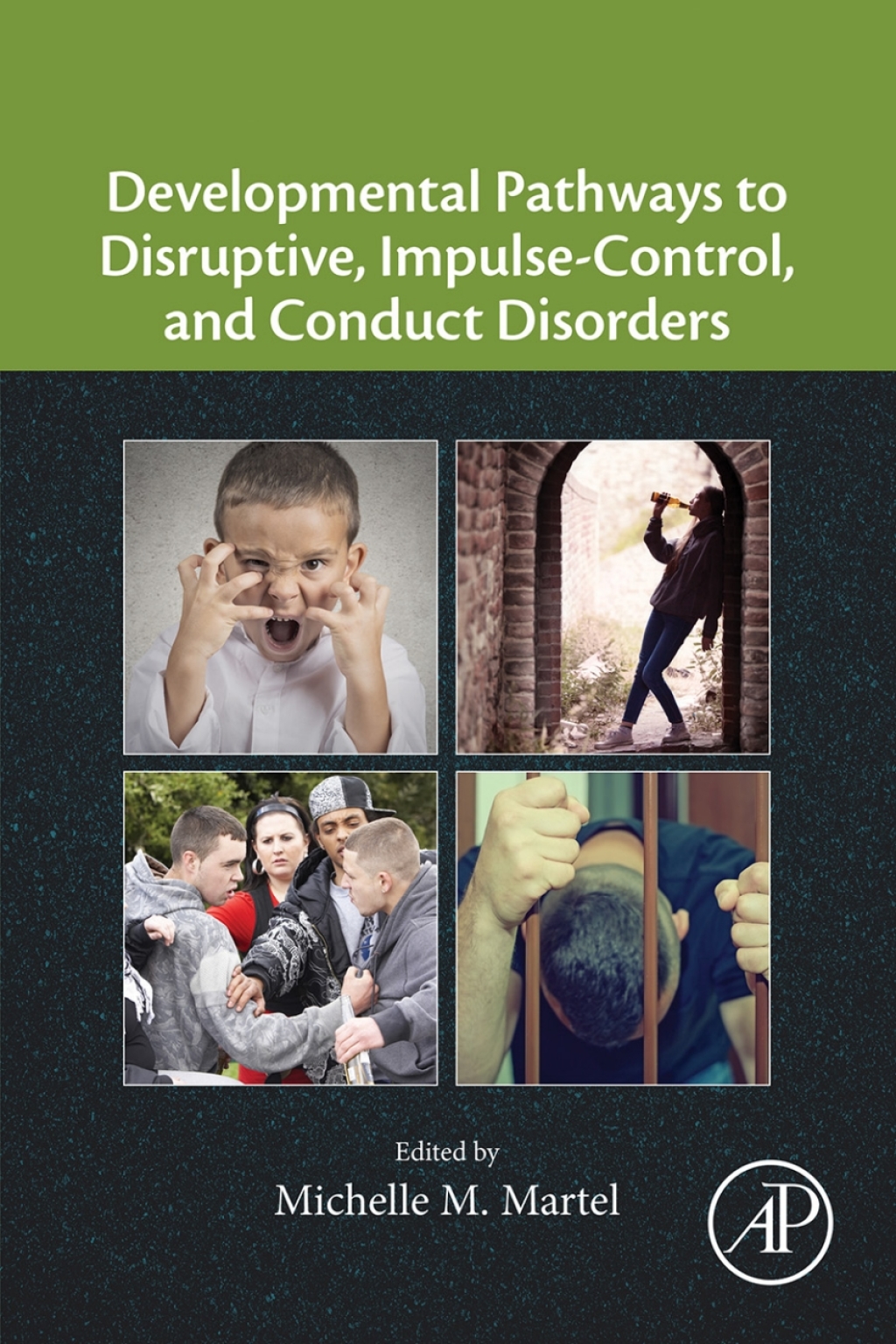 Developmental Pathways to Disruptive, Impulse-Control, and Conduct Disorders 