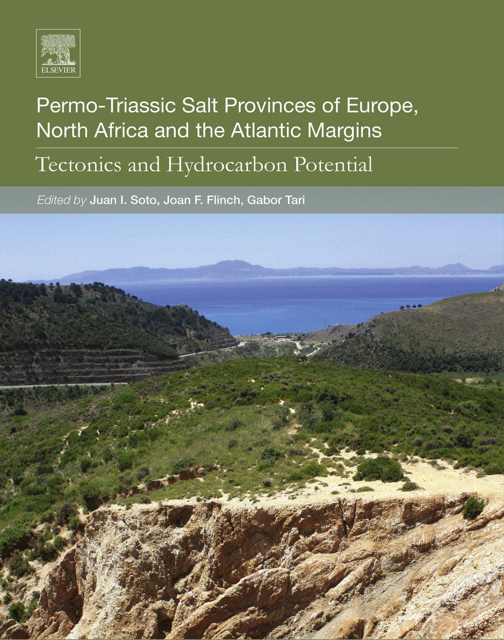 Permo-Triassic Salt Provinces of Europe, North Africa and the Atlantic Margins Tectonics and Hydrocarbon Potential 