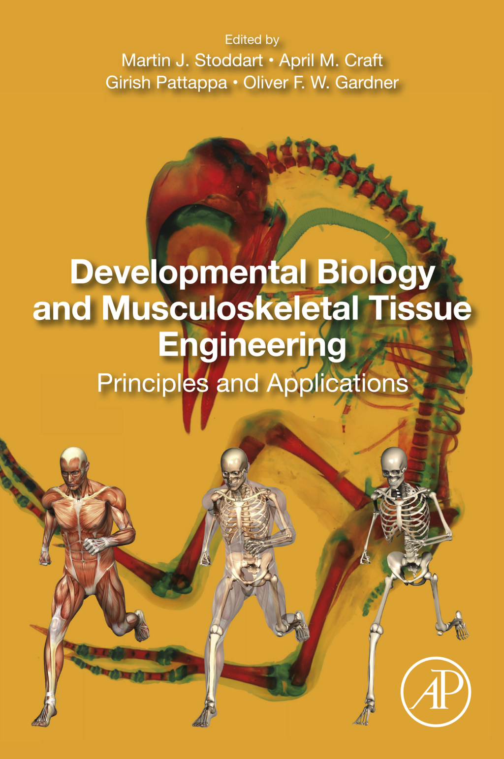 Developmental Biology and Musculoskeletal Tissue Engineering Principles and Applications 