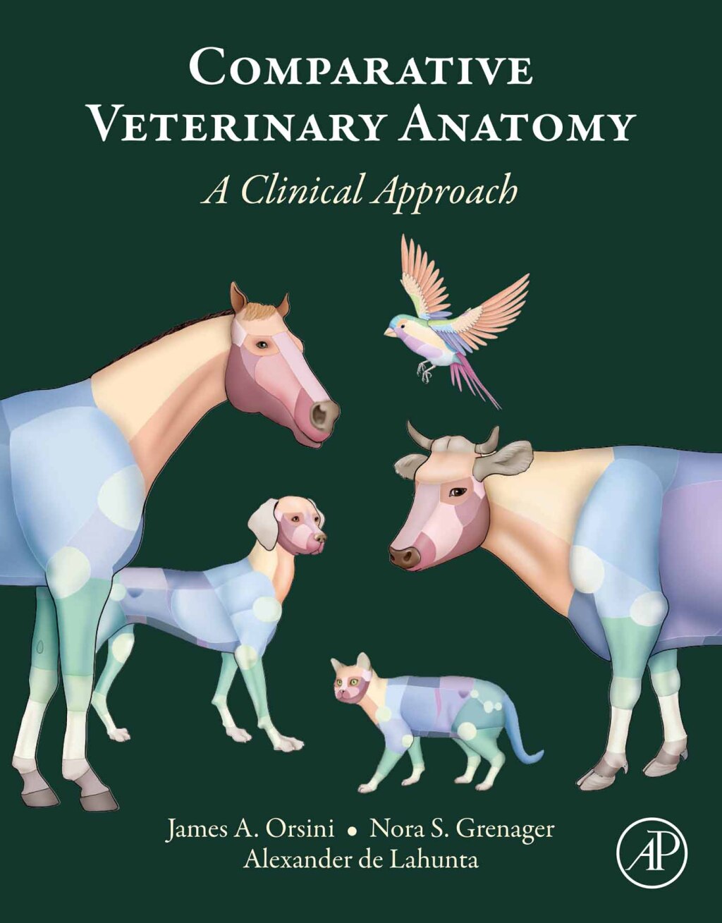 Comparative Veterinary Anatomy A Clinical Approach 