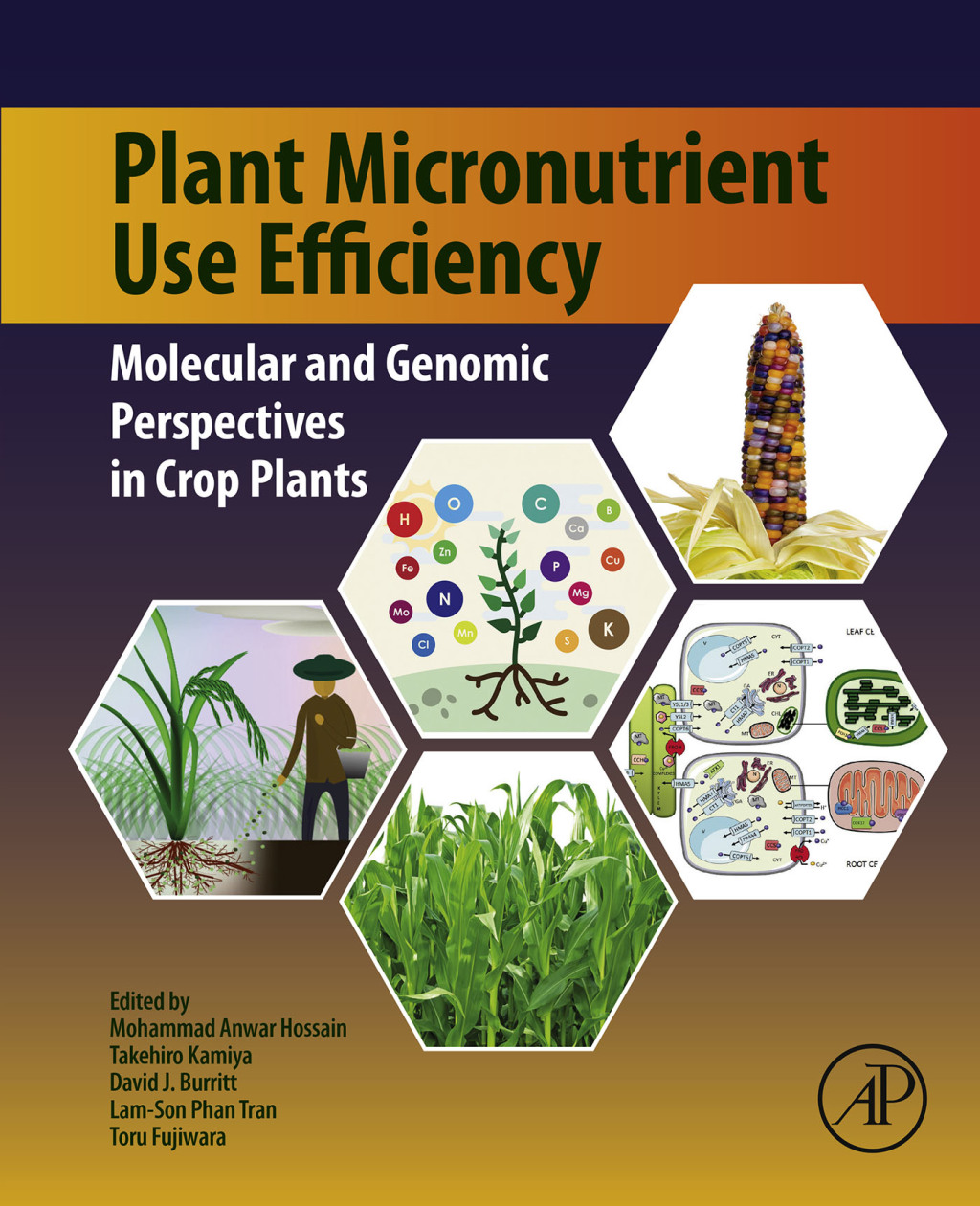 Plant Micronutrient Use Efficiency Molecular and Genomic Perspectives in Crop Plants 