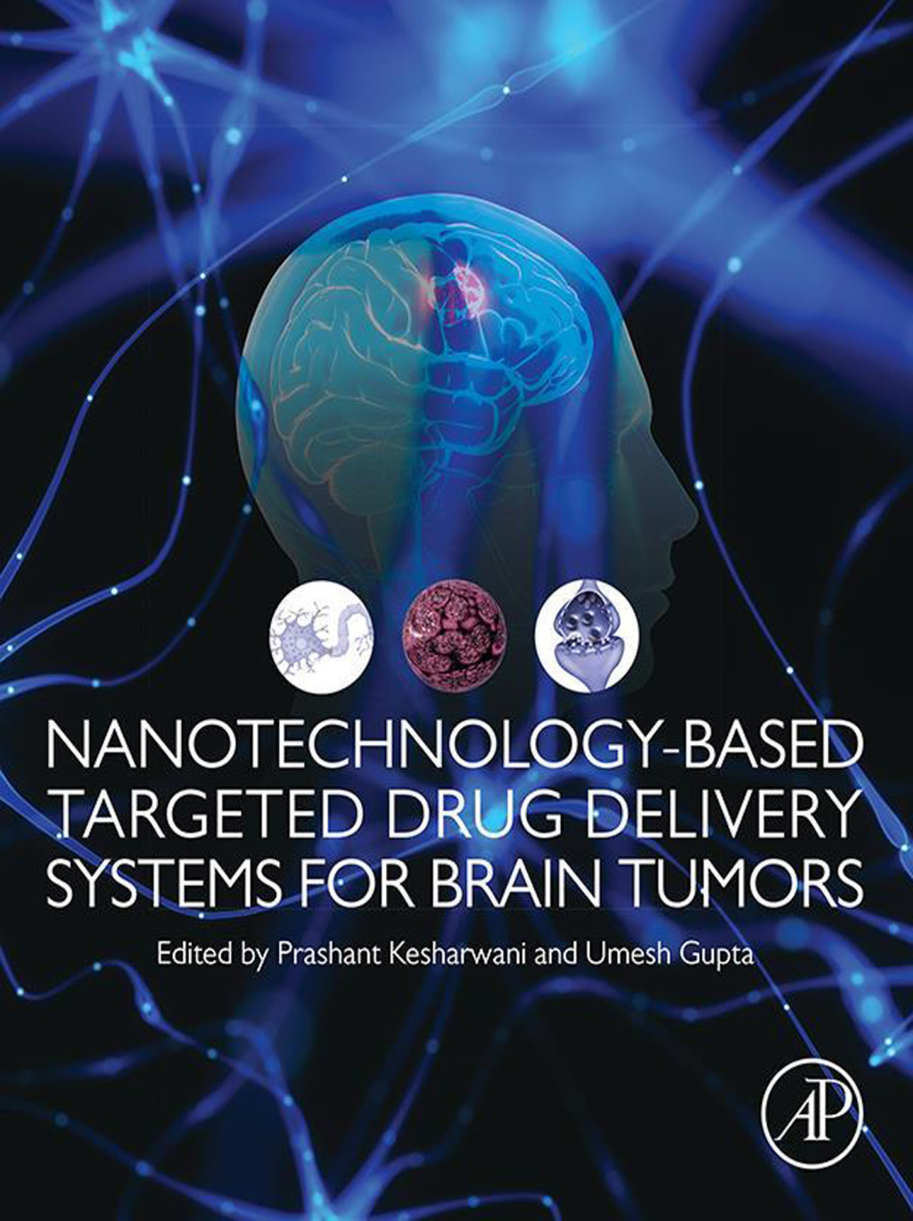 Nanotechnology-Based Targeted Drug Delivery Systems for Brain Tumors 