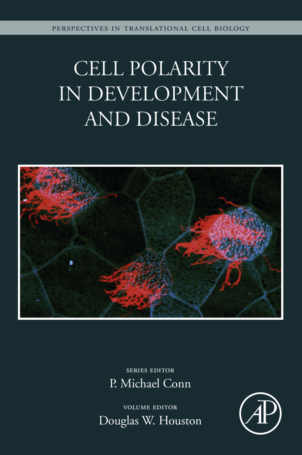Cell Polarity in Development and Disease 