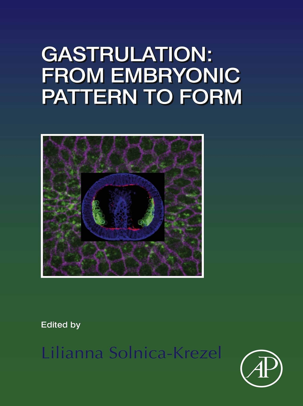 Gastrulation: From Embryonic Pattern to Form 