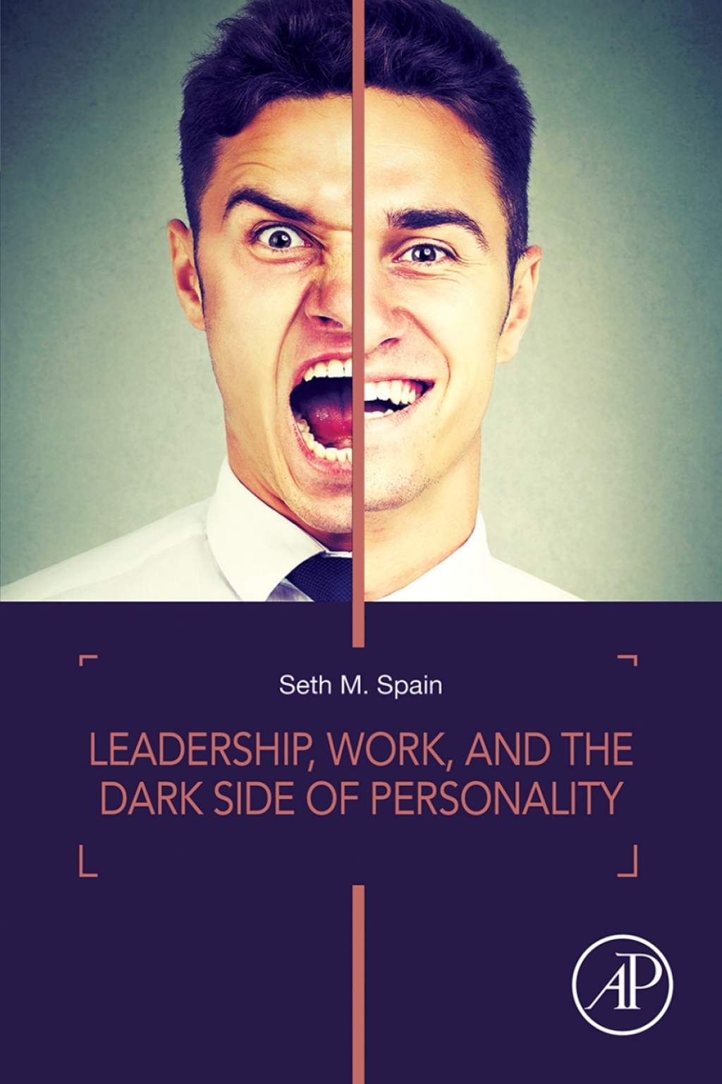 Leadership, Work, and the Dark Side of Personality 