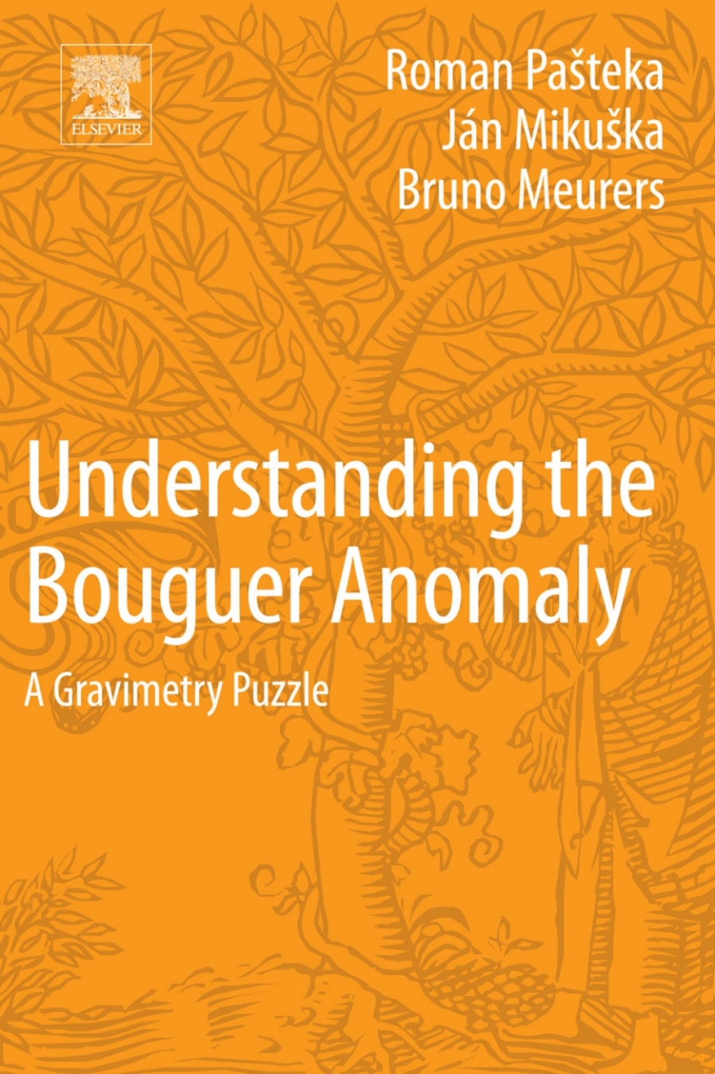 Understanding the Bouguer Anomaly A Gravimetry Puzzle 