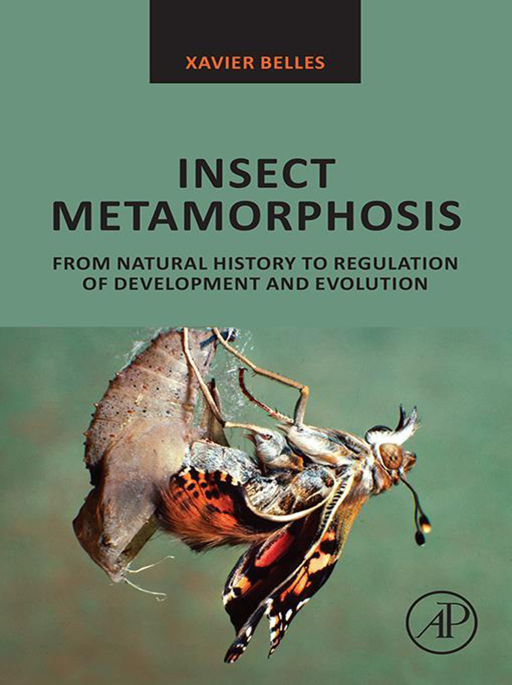Insect Metamorphosis From Natural History to Regulation of Development and Evolution 