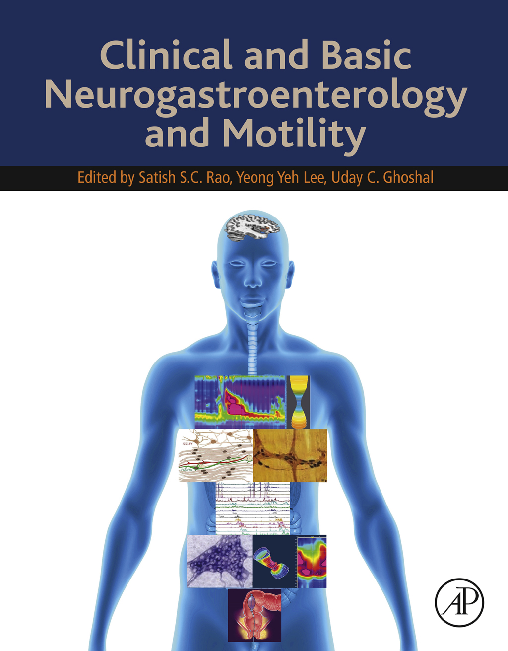 Clinical and Basic Neurogastroenterology and Motility 