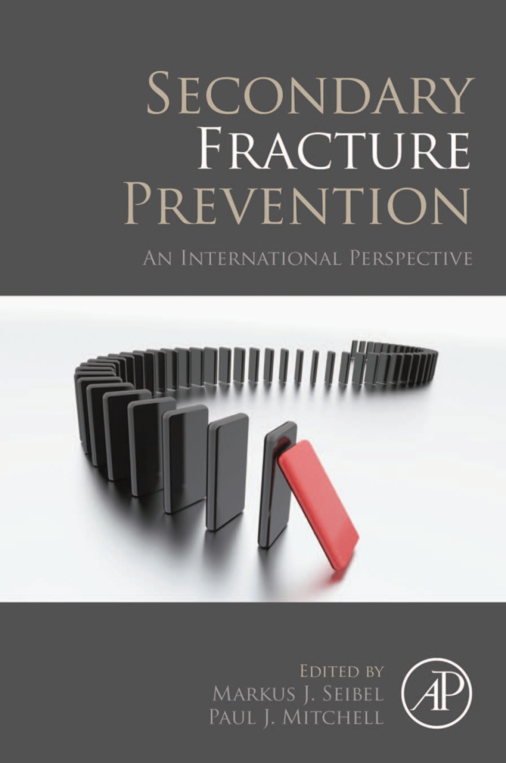 Secondary Fracture Prevention An International Perspective 