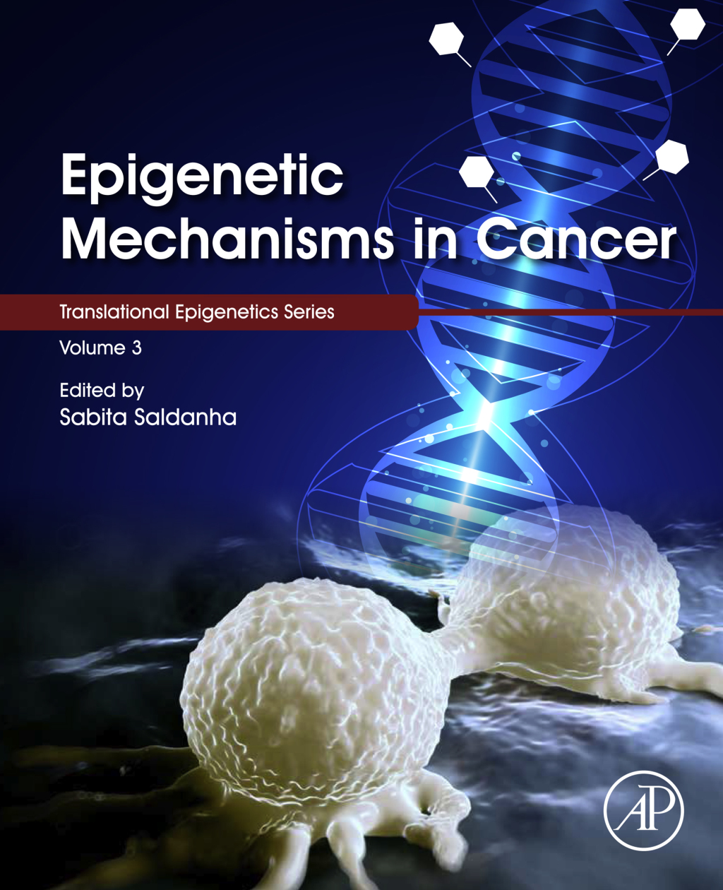 Epigenetic Mechanisms in Cancer 