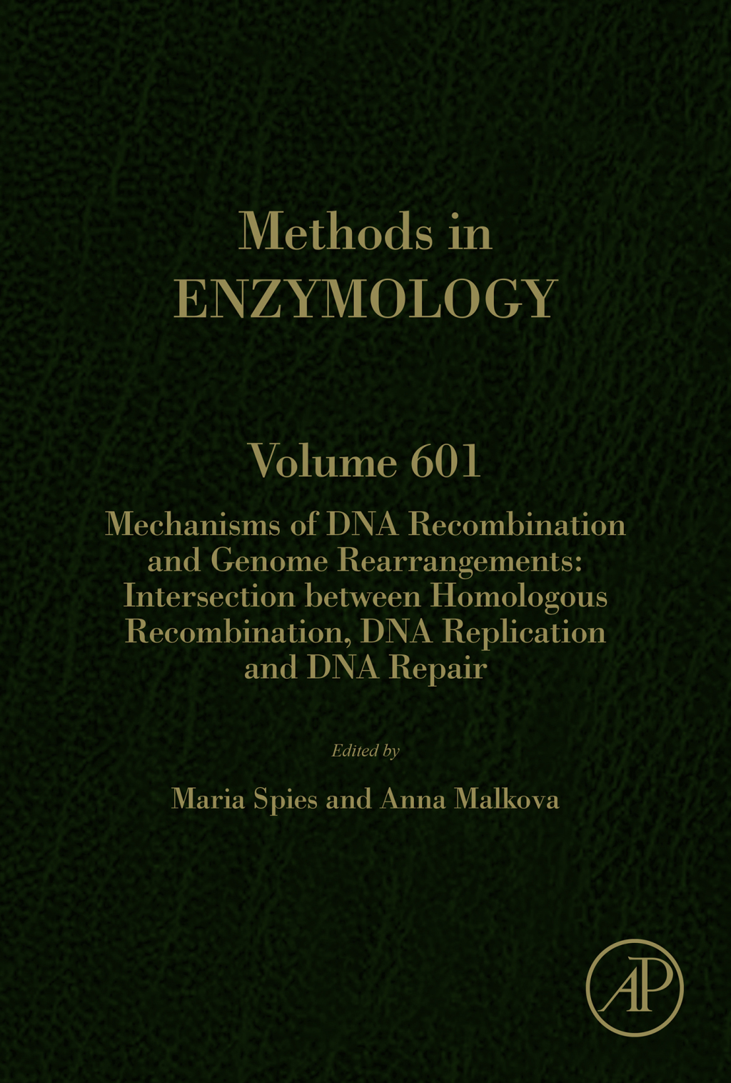 Mechanisms of DNA Recombination and Genome Rearrangements: Intersection Between Homologous Recombination, DNA Replication and DNA Repair 