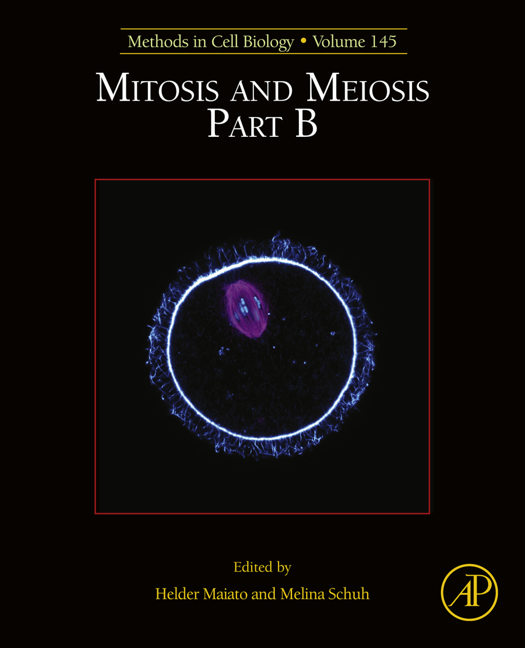 Mitosis and Meiosis Part B 