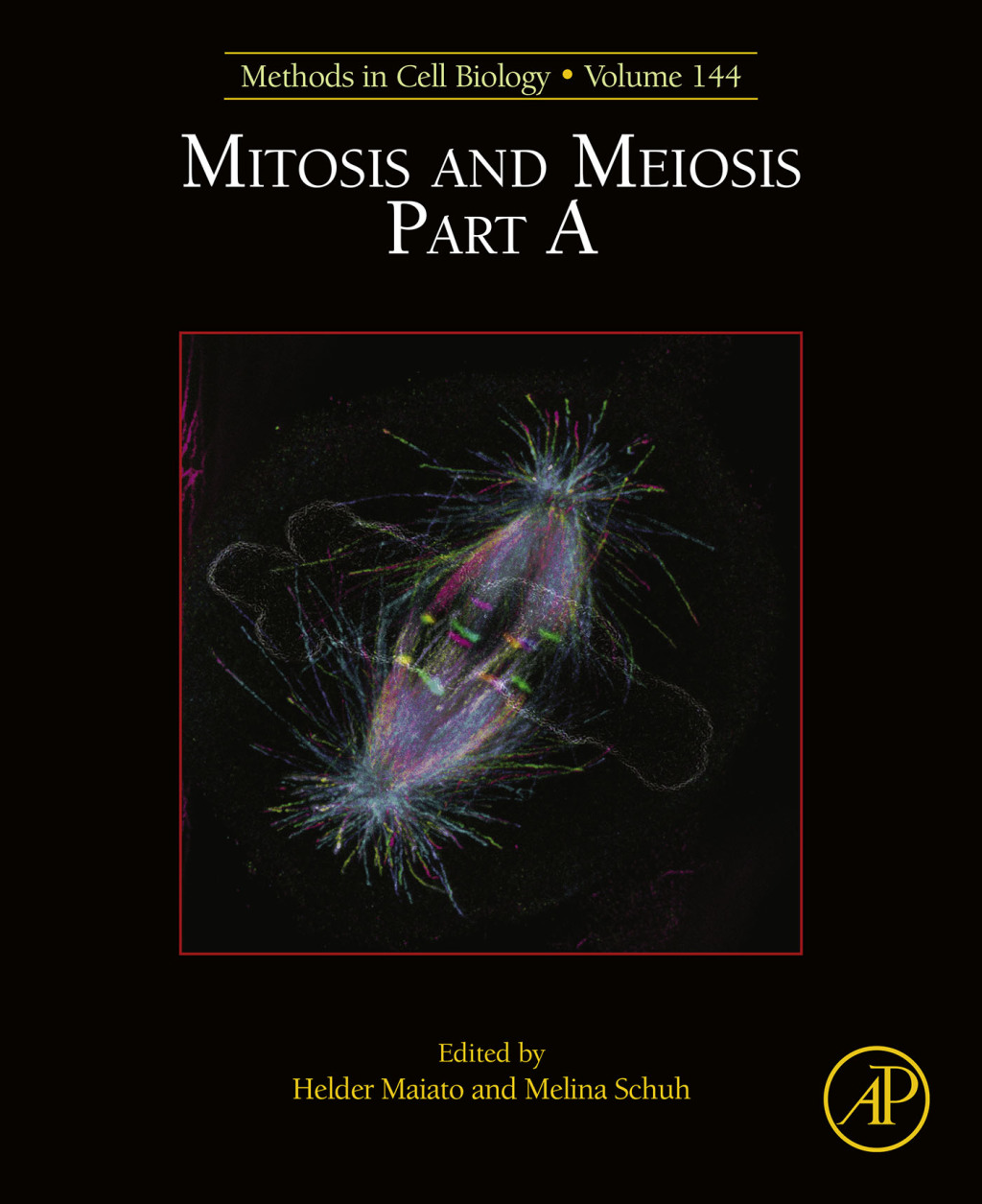Mitosis and Meiosis Part A 