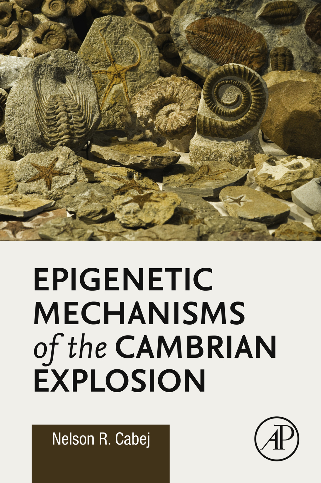 Epigenetic Mechanisms of the Cambrian Explosion 