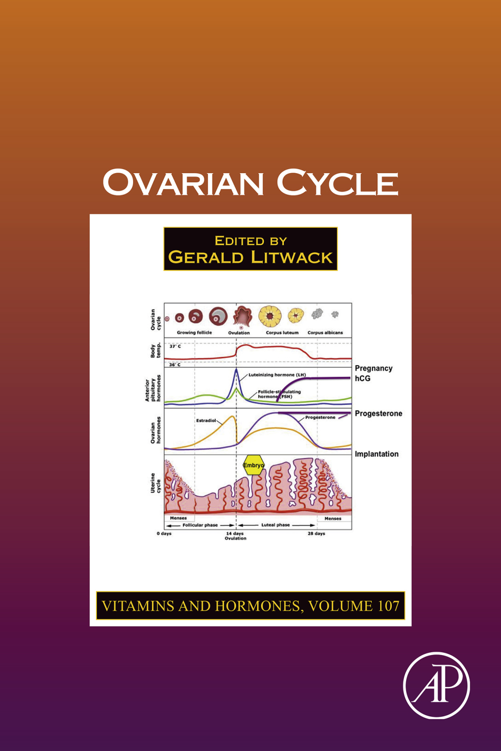Ovarian Cycle 
