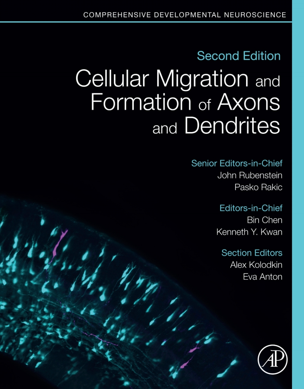 Cellular Migration and Formation of Axons and Dendrites Comprehensive Developmental Neuroscience 2nd Edition