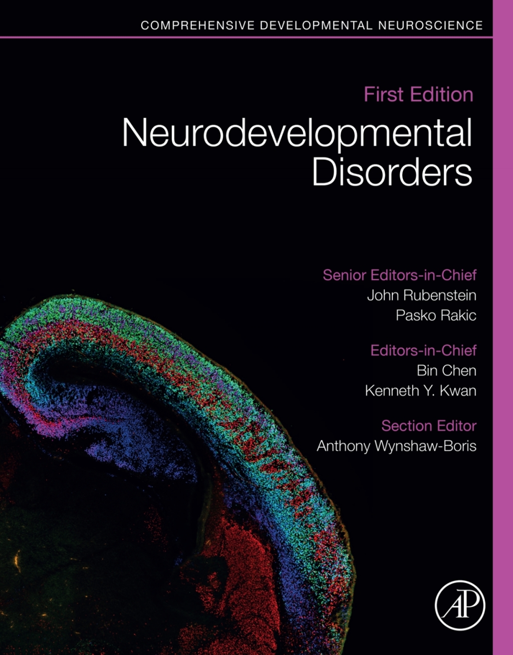 Neurodevelopmental Disorders Comprehensive Developmental Neuroscience 1st Edition
