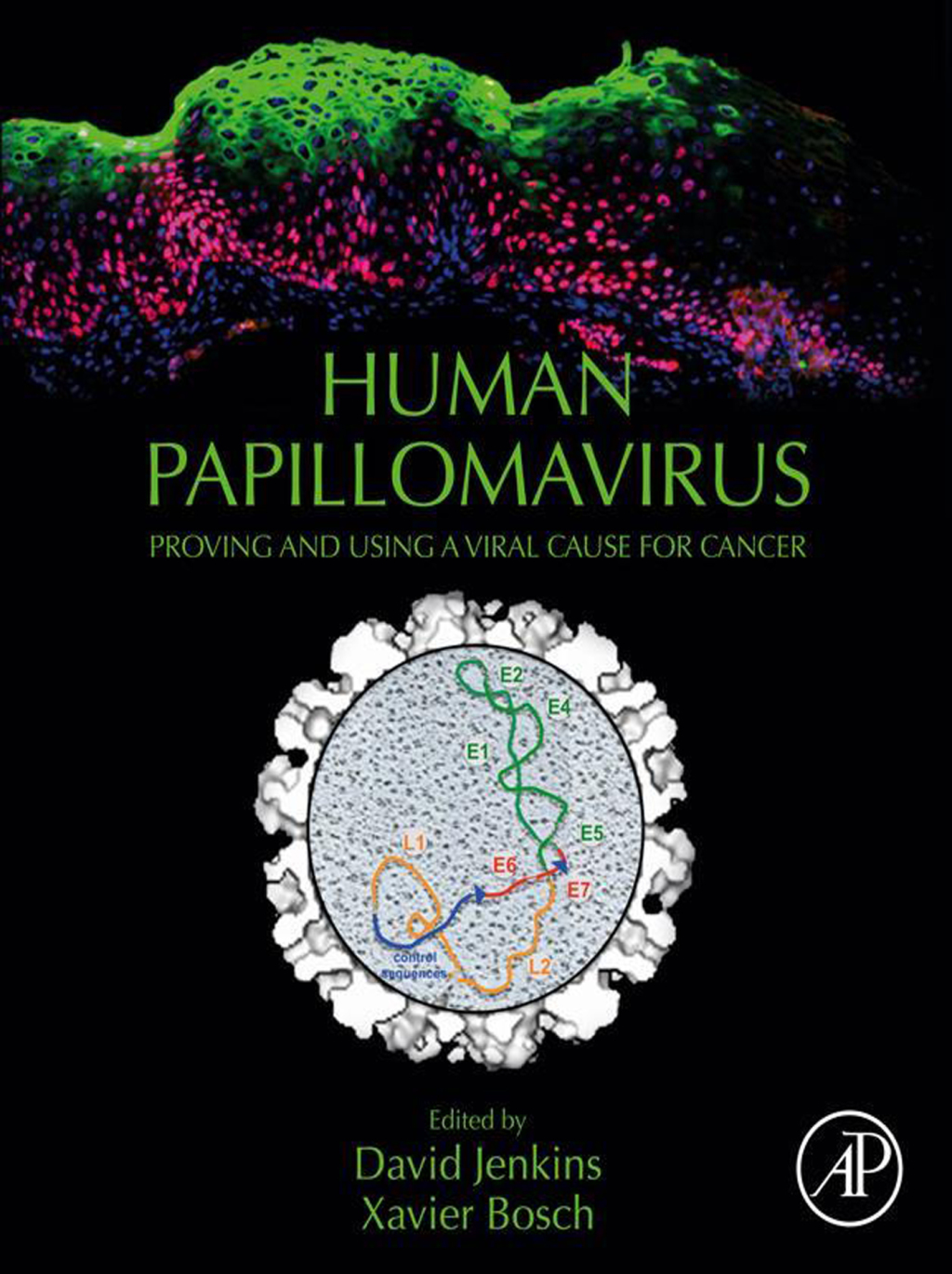 Human Papillomavirus Proving and Using a Viral Cause for Cancer 