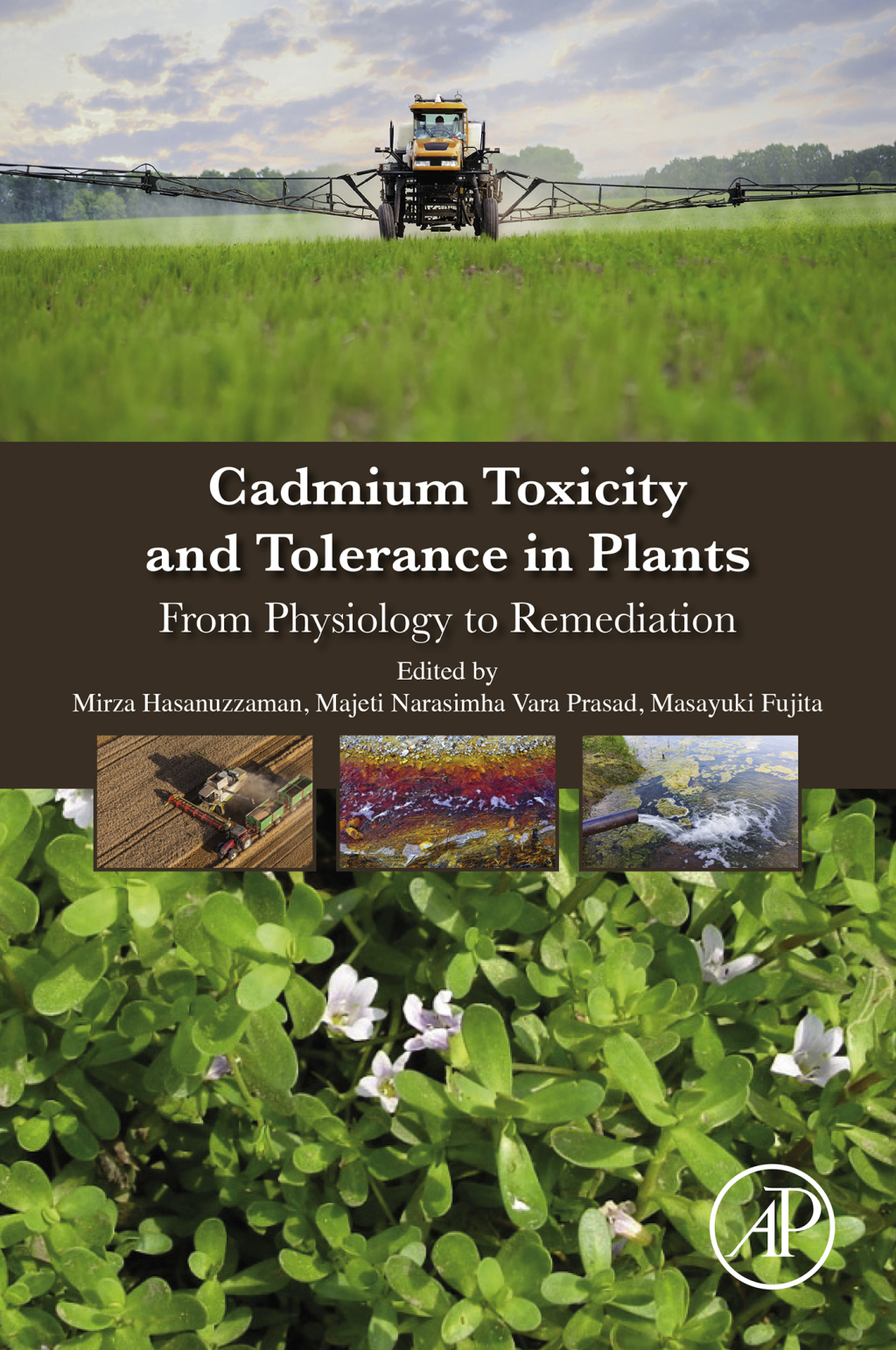 Cadmium Toxicity and Tolerance in Plants From Physiology to Remediation 