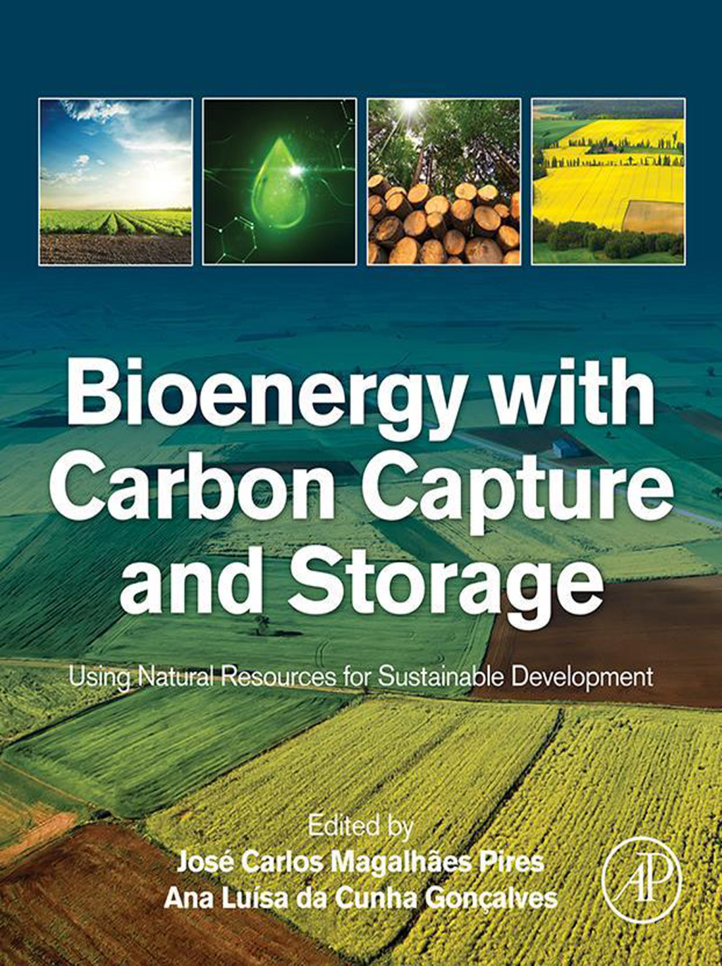 Bioenergy with Carbon Capture and Storage Using Natural Resources for Sustainable Development 