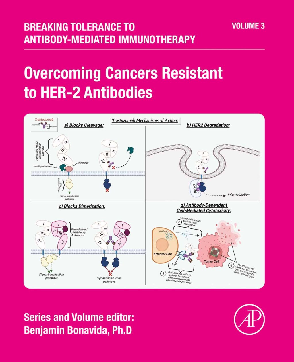 Overcoming Cancers Resistant to HER-2 Antibodies 1st Edition