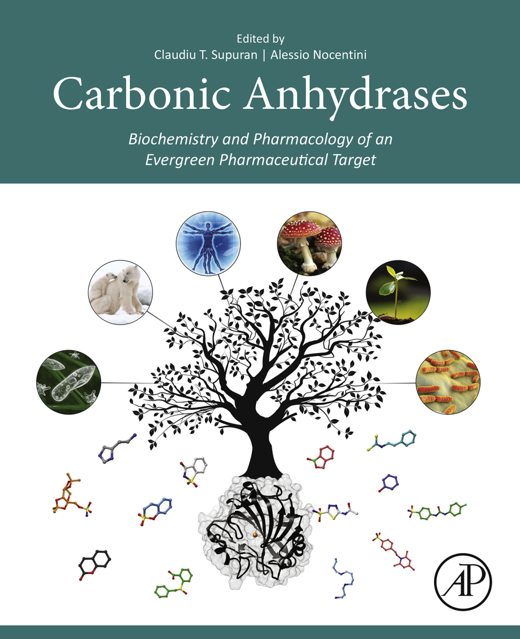 Carbonic Anhydrases Biochemistry and Pharmacology of an Evergreen Pharmaceutical Target 