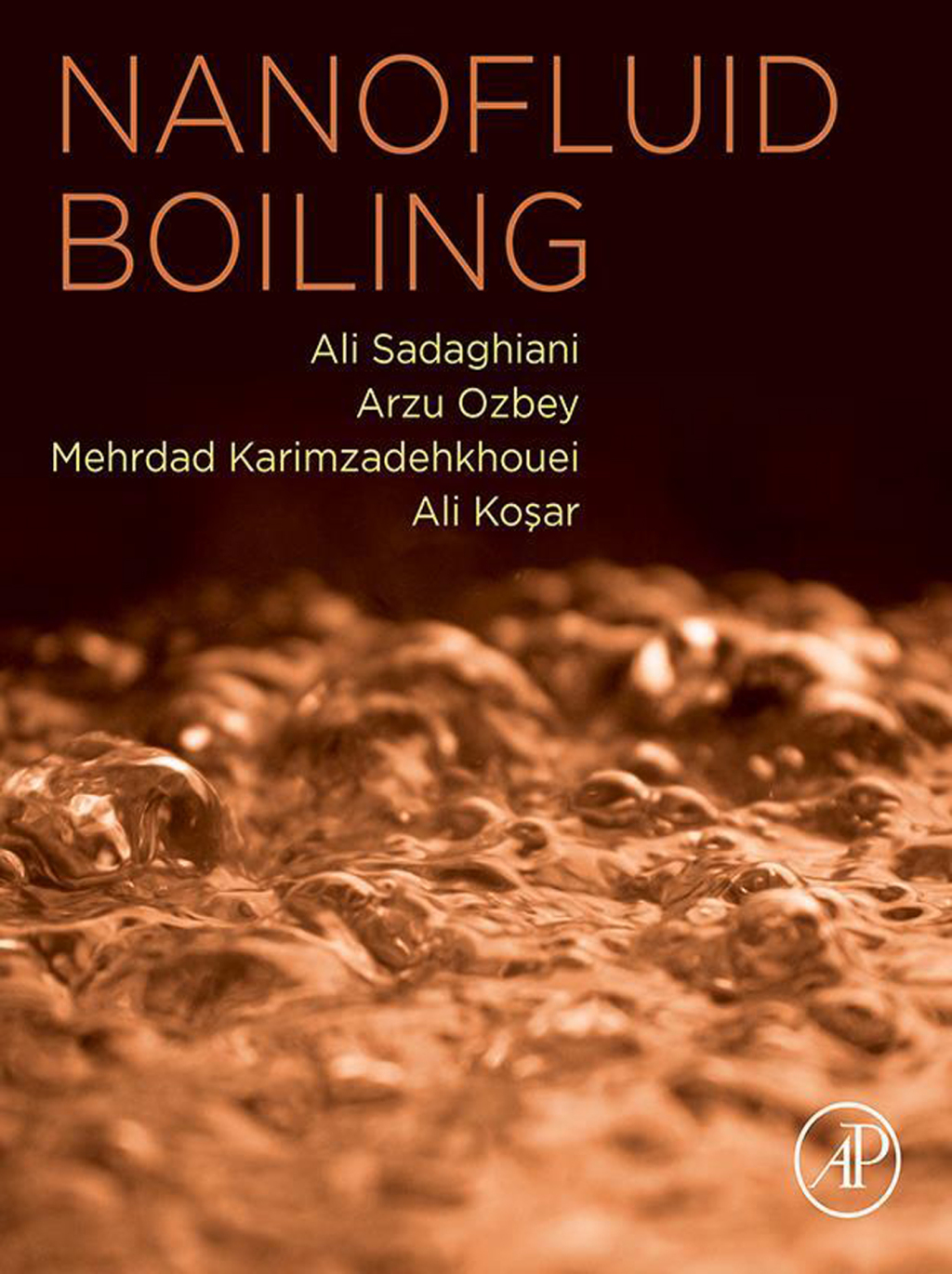 Nanofluid Boiling 1st Edition