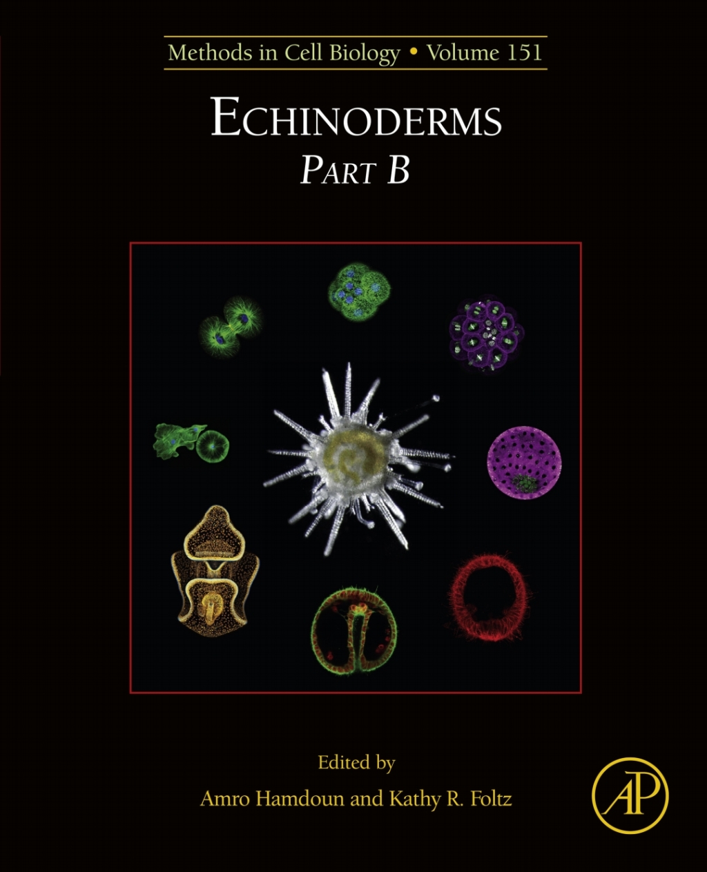 Echinoderms Part B 