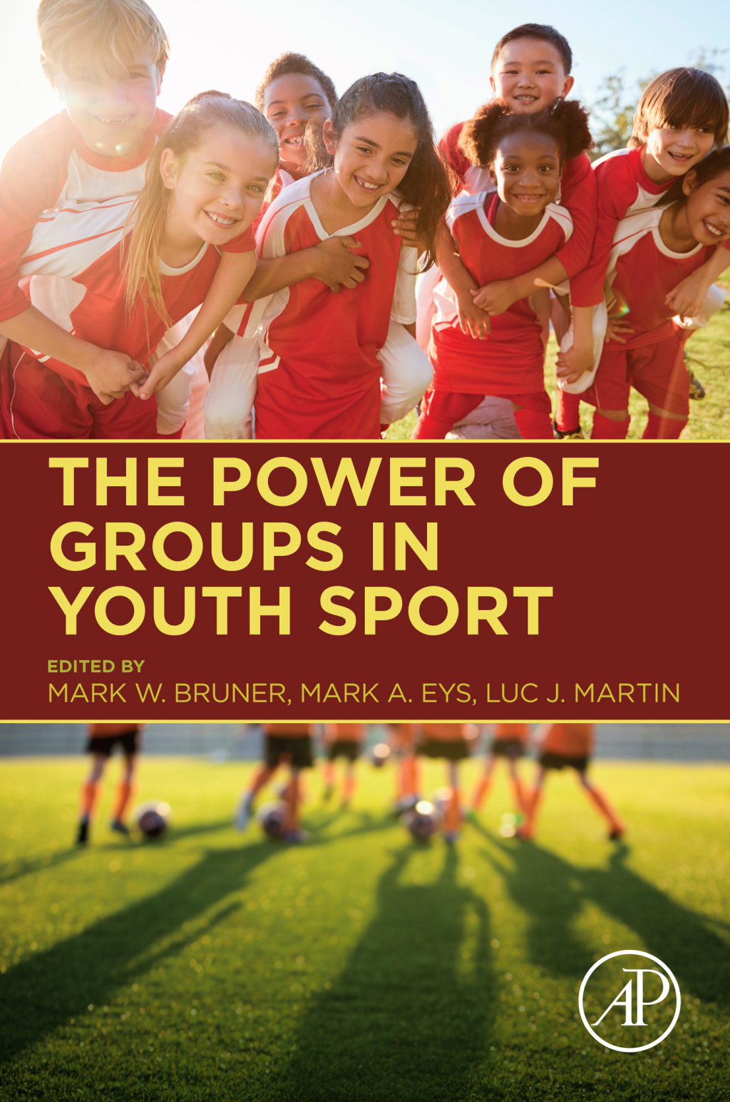 The Power of Groups in Youth Sport 1st Edition