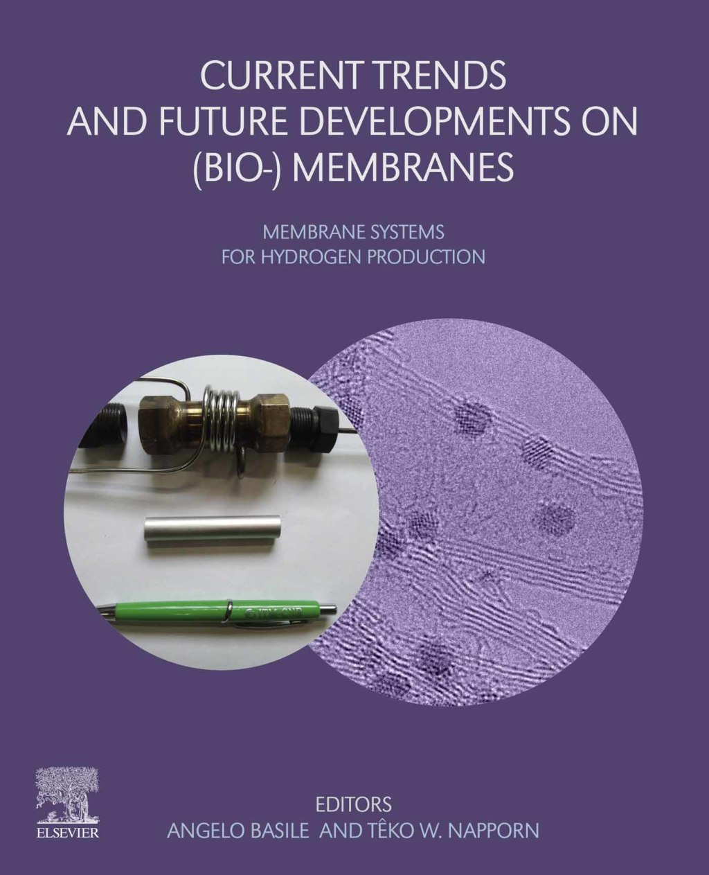 Current Trends and Future Developments on (Bio-) Membranes Membrane Systems for Hydrogen Production 1st Edition
