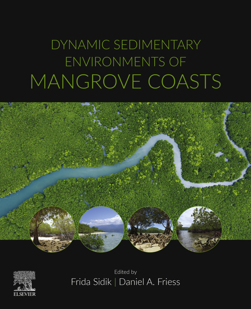 Dynamic Sedimentary Environments of Mangrove Coasts 1st Edition