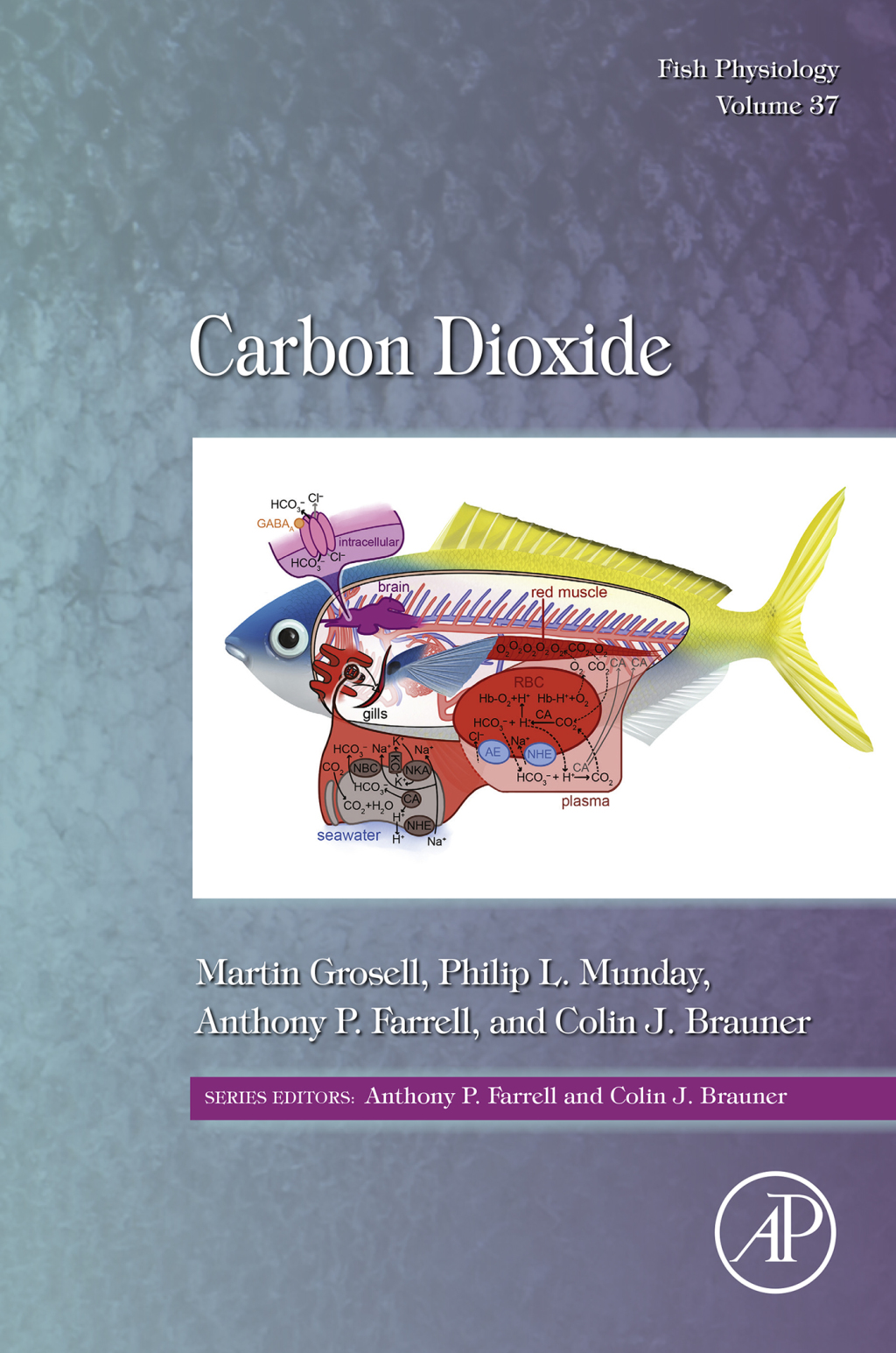 Carbon Dioxide 