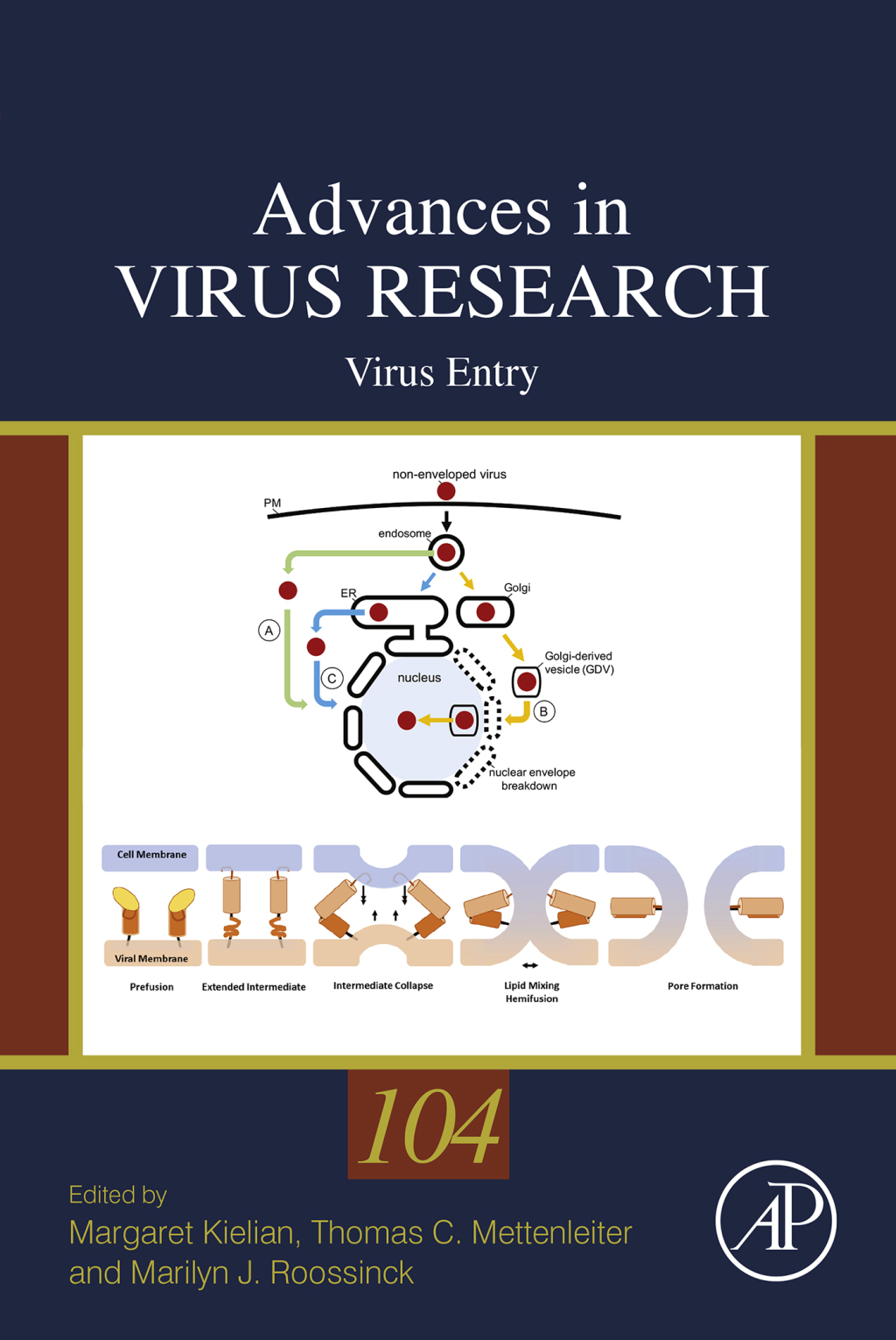 Virus Entry 