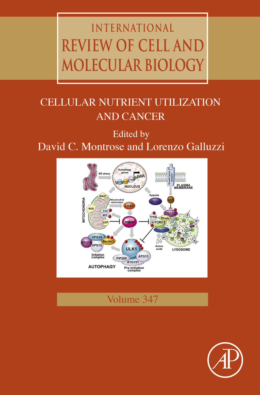 Cellular Nutrient Utilization and Cancer 