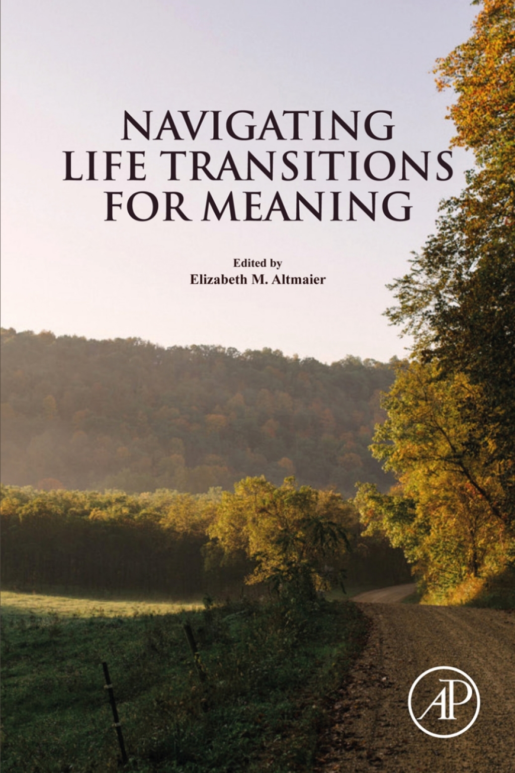 Navigating Life Transitions for Meaning 1st Edition