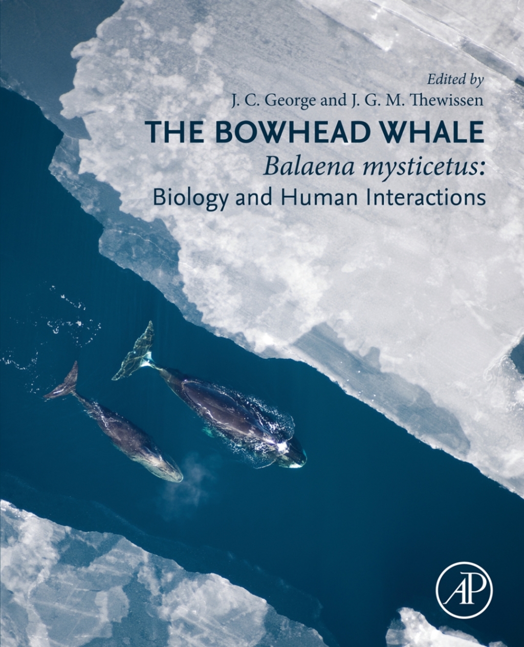 The Bowhead Whale Balaena Mysticetus: Biology and Human Interactions 
