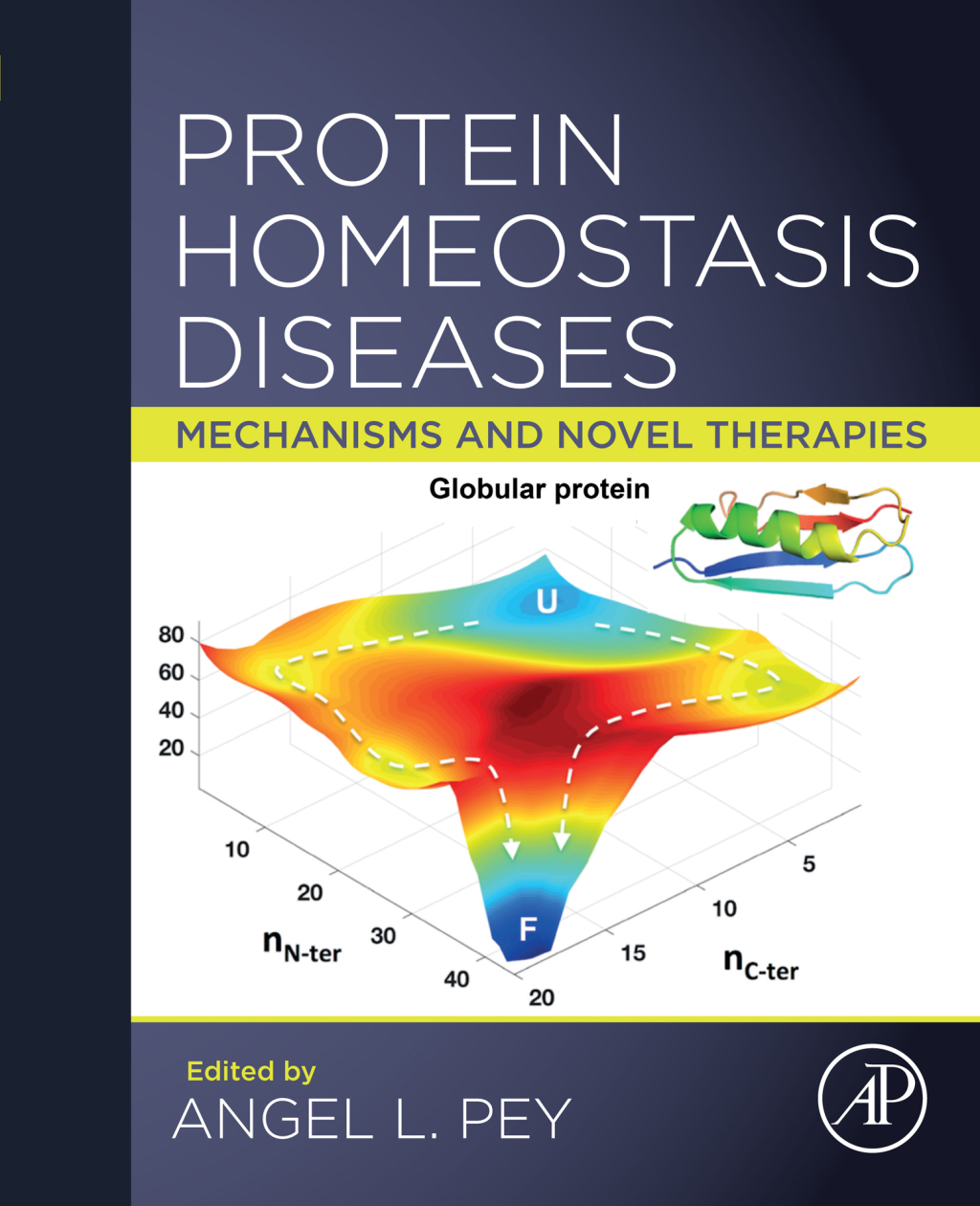 Protein Homeostasis Diseases Mechanisms and Novel Therapies 1st Edition