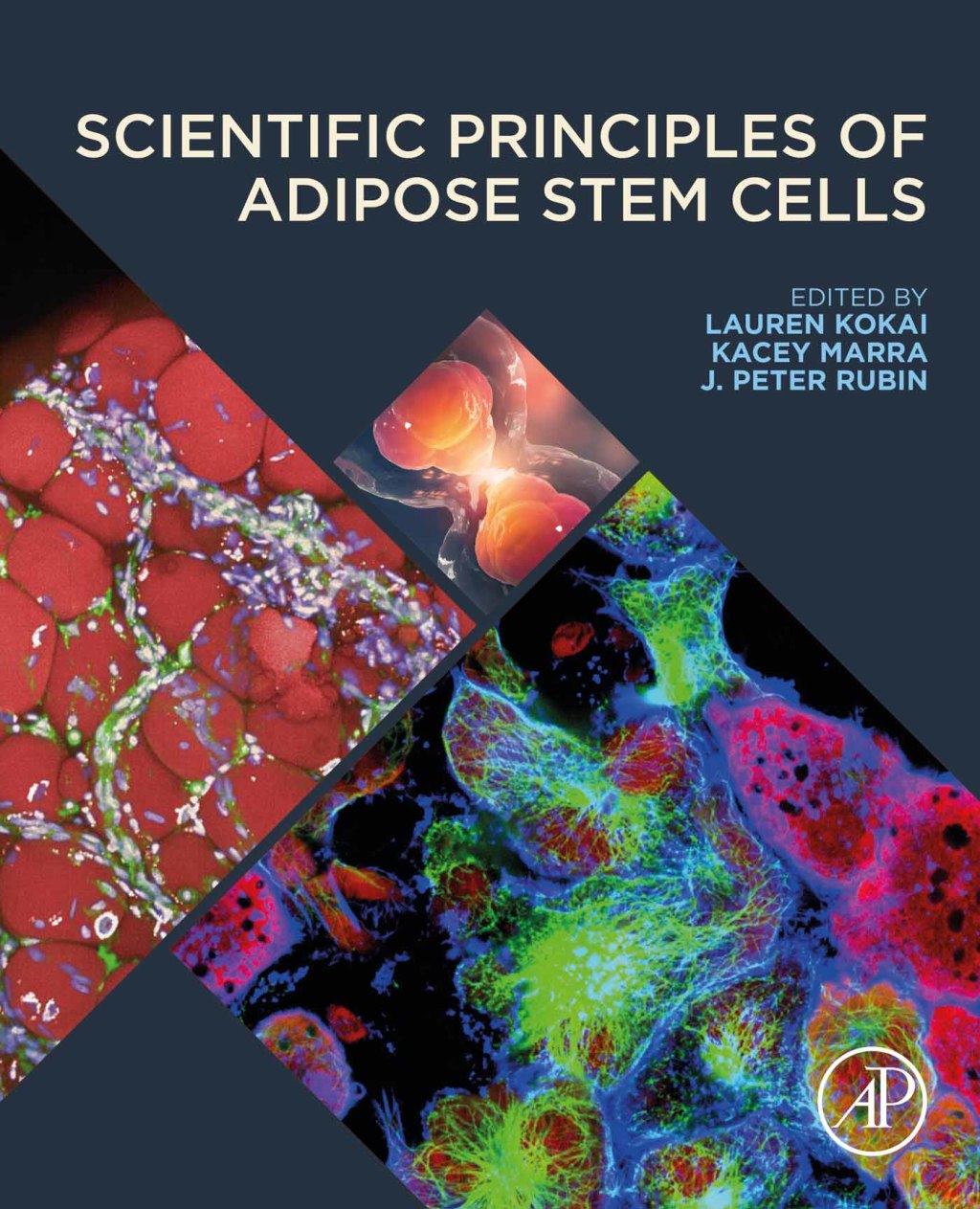 Scientific Principles of Adipose Stem Cells 