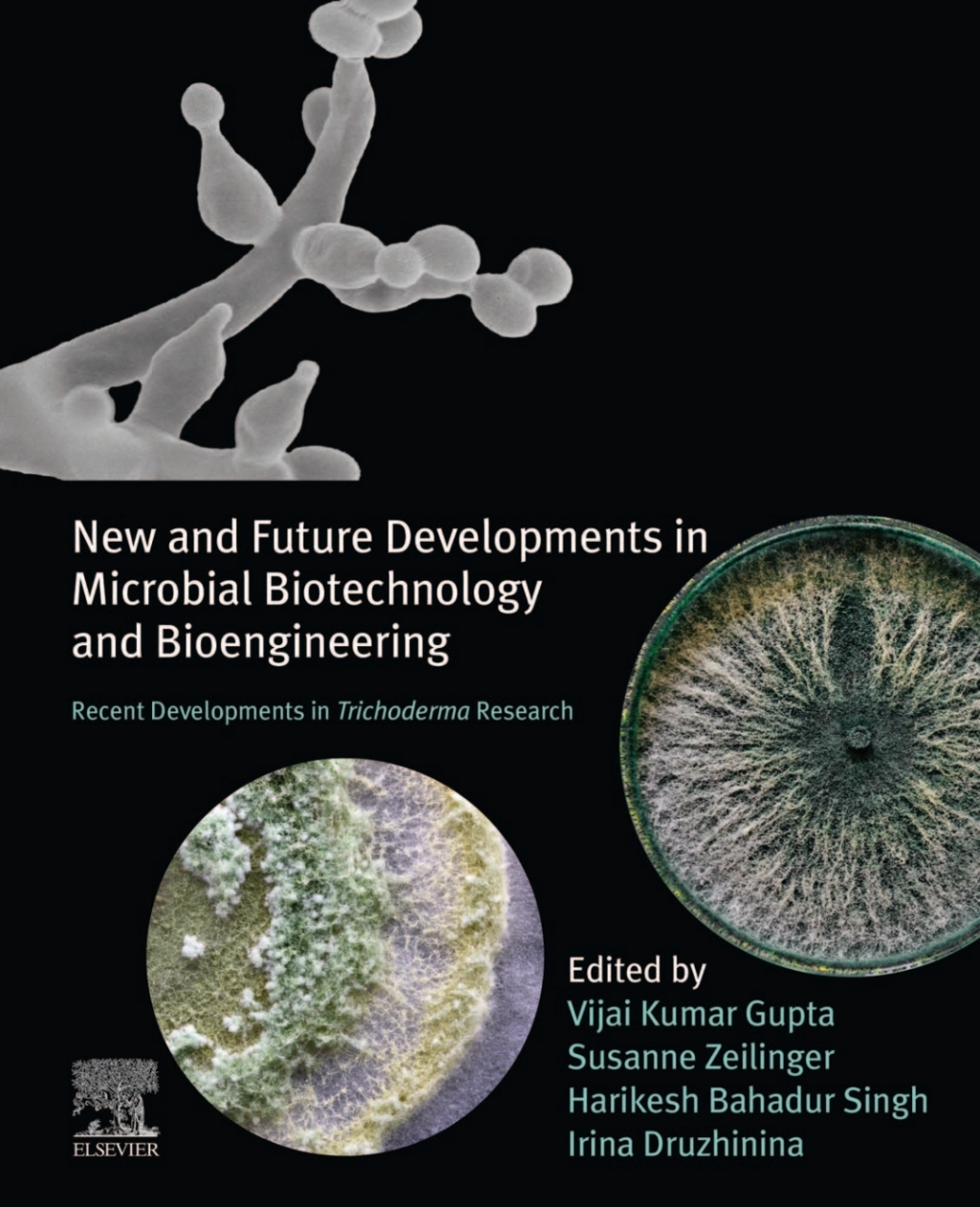 New and Future Developments in Microbial Biotechnology and Bioengineering Recent Developments in Trichoderma Research 1st Edition