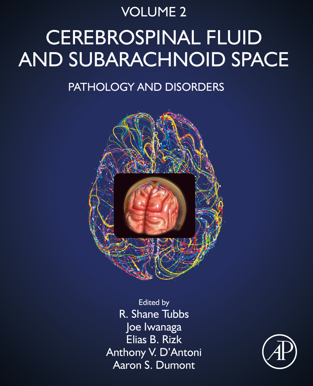 Cerebrospinal Fluid and Subarachnoid Space Volume 2: Pathology and Disorders 1st Edition