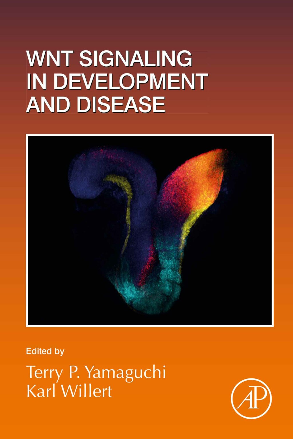 Wnt Signaling in Development and Disease 1st Edition