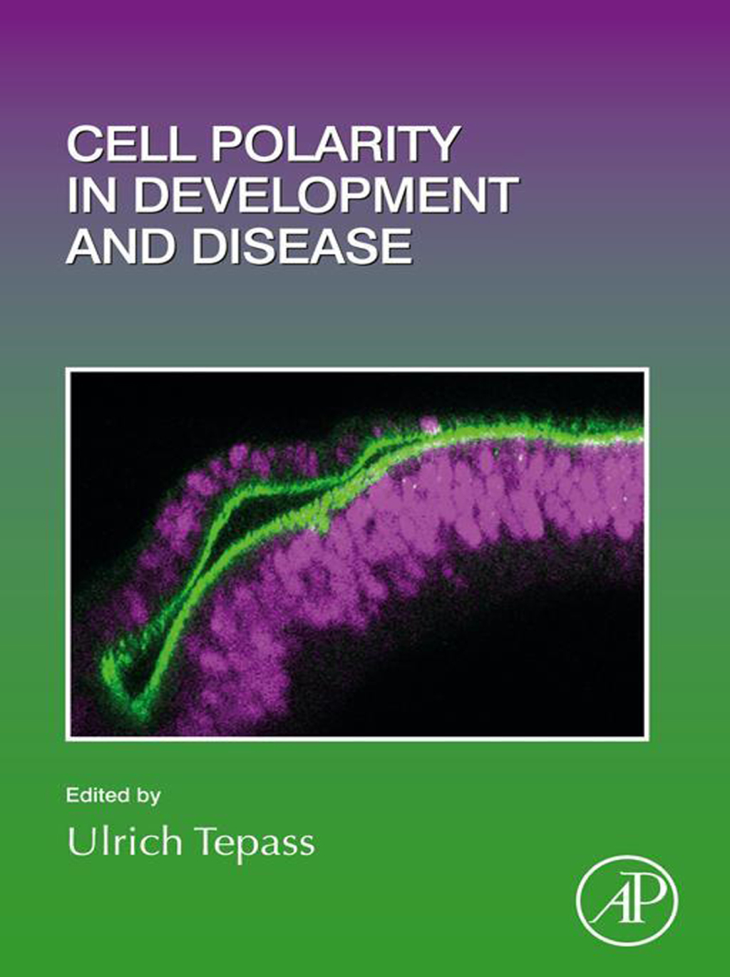 Cell Polarity in Development and Disease 1st Edition