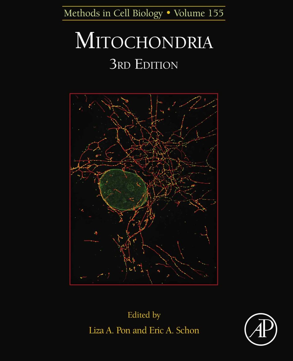 Mitochondria Biology 1st Edition