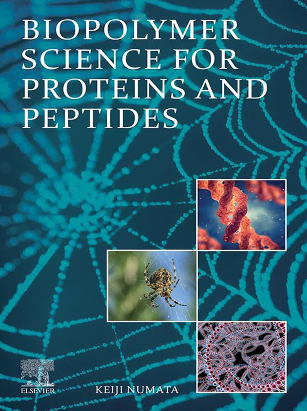 Biopolymer Science for Proteins and Peptides 