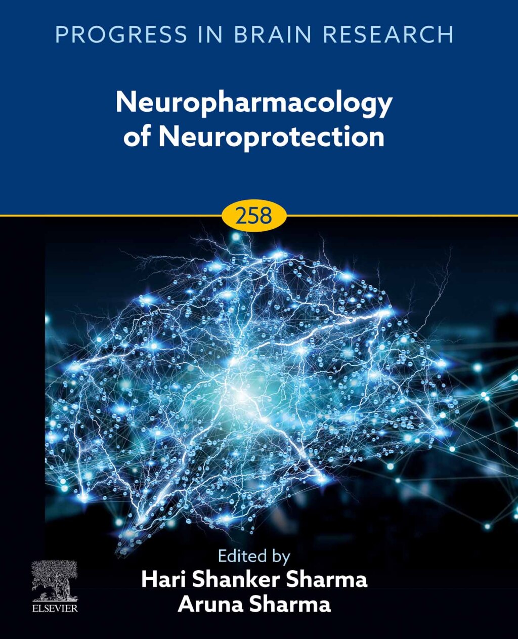Neuropharmacology of Neuroprotection 1st Edition